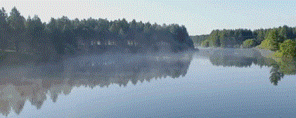 7.gif